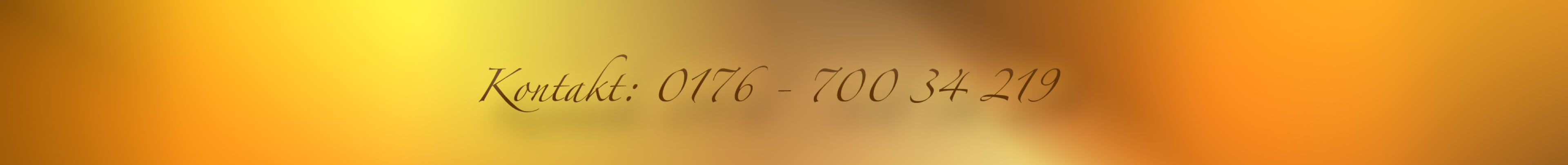 Kontakt Wittich Wolf: 0176 70034219